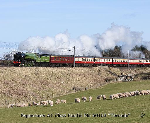 A1 Steam Loco Tornado 9Y487D-098.JPG